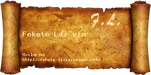 Fekete Lívia névjegykártya